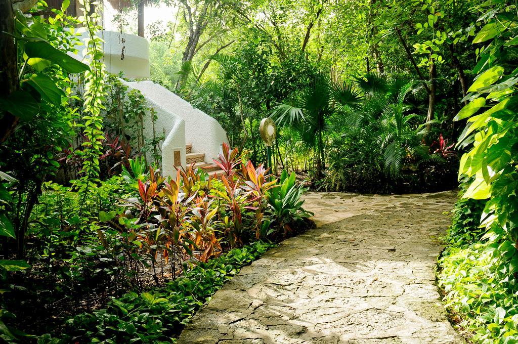 Amarte Maroma Hotel Eco Boutique Spa Punta Maroma Extérieur photo