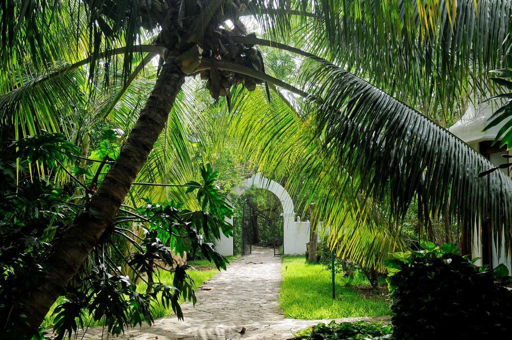 Amarte Maroma Hotel Eco Boutique Spa Punta Maroma Extérieur photo