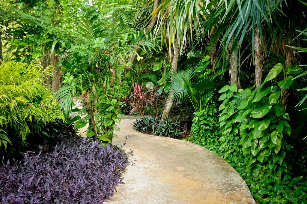 Amarte Maroma Hotel Eco Boutique Spa Punta Maroma Extérieur photo