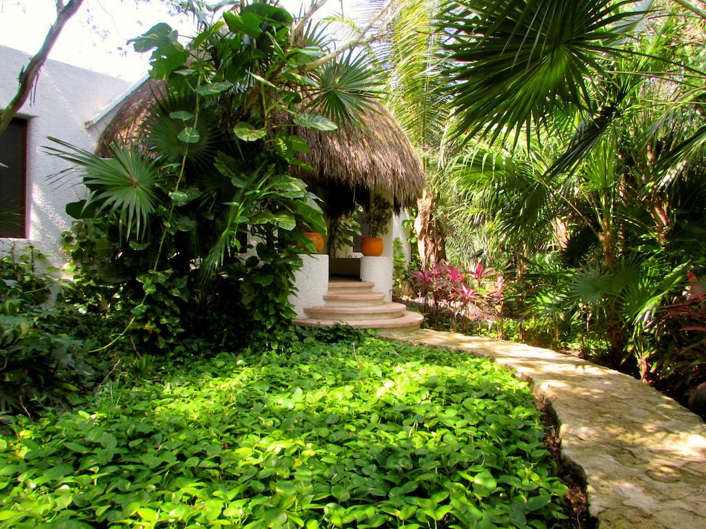 Amarte Maroma Hotel Eco Boutique Spa Punta Maroma Extérieur photo